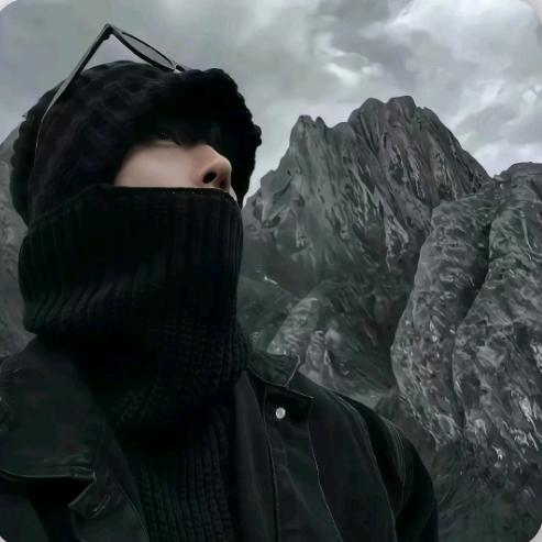飒宇