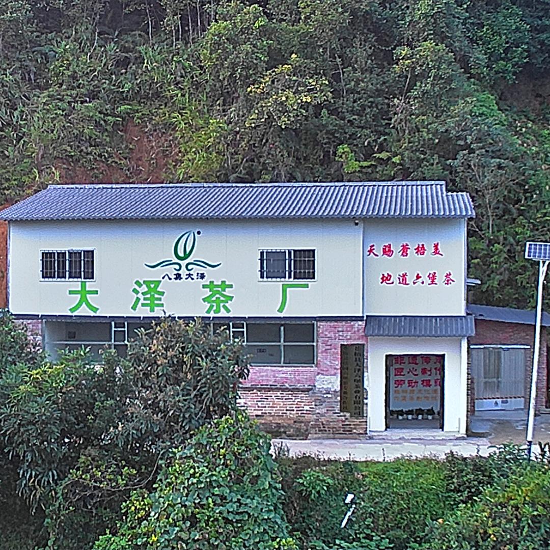 苍梧县大泽六堡茶业