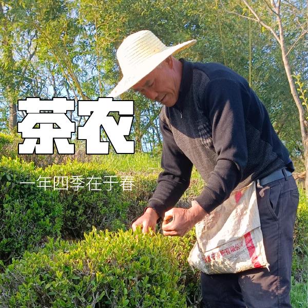 林师傅手工茶