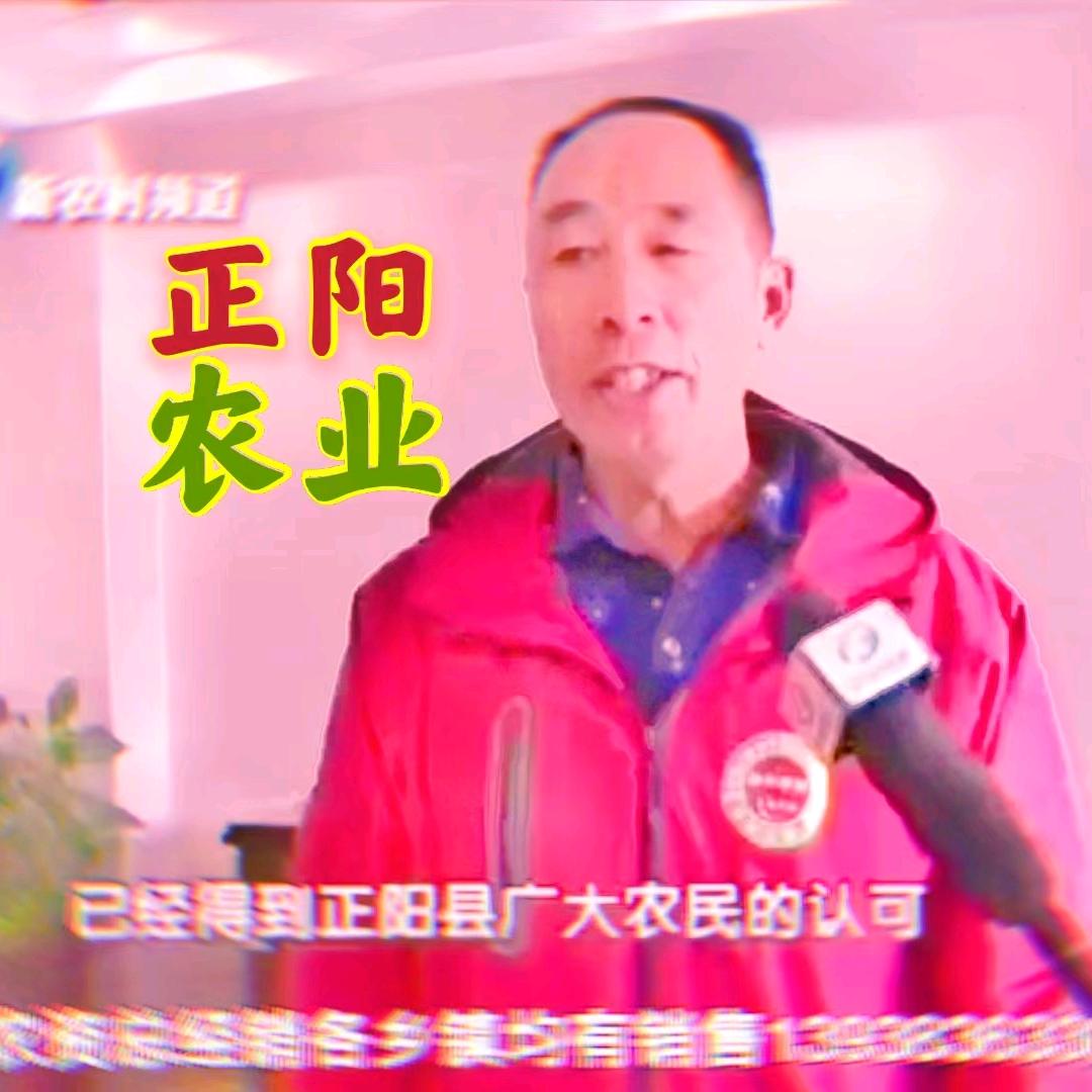 正阳万成聊农业