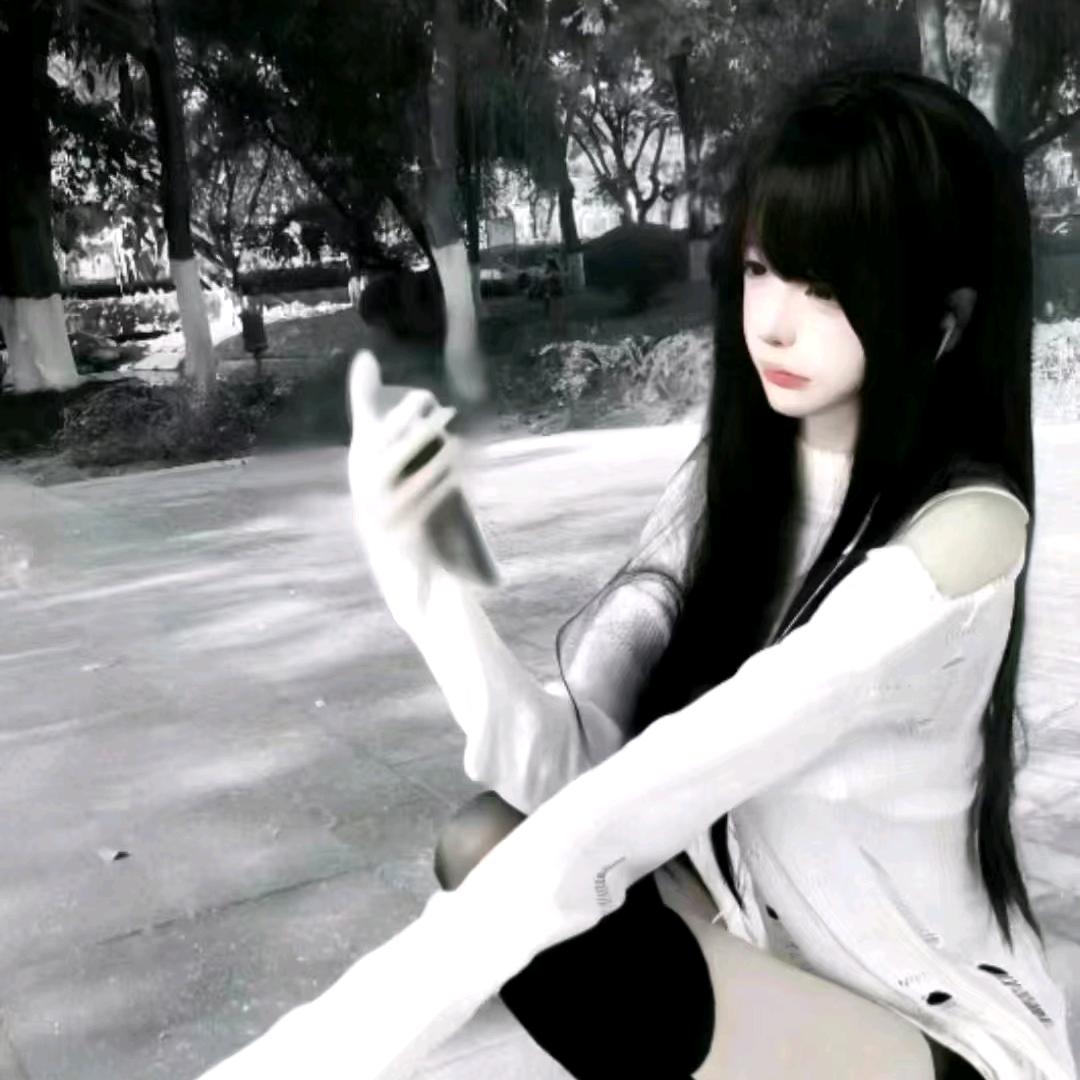 念鹤