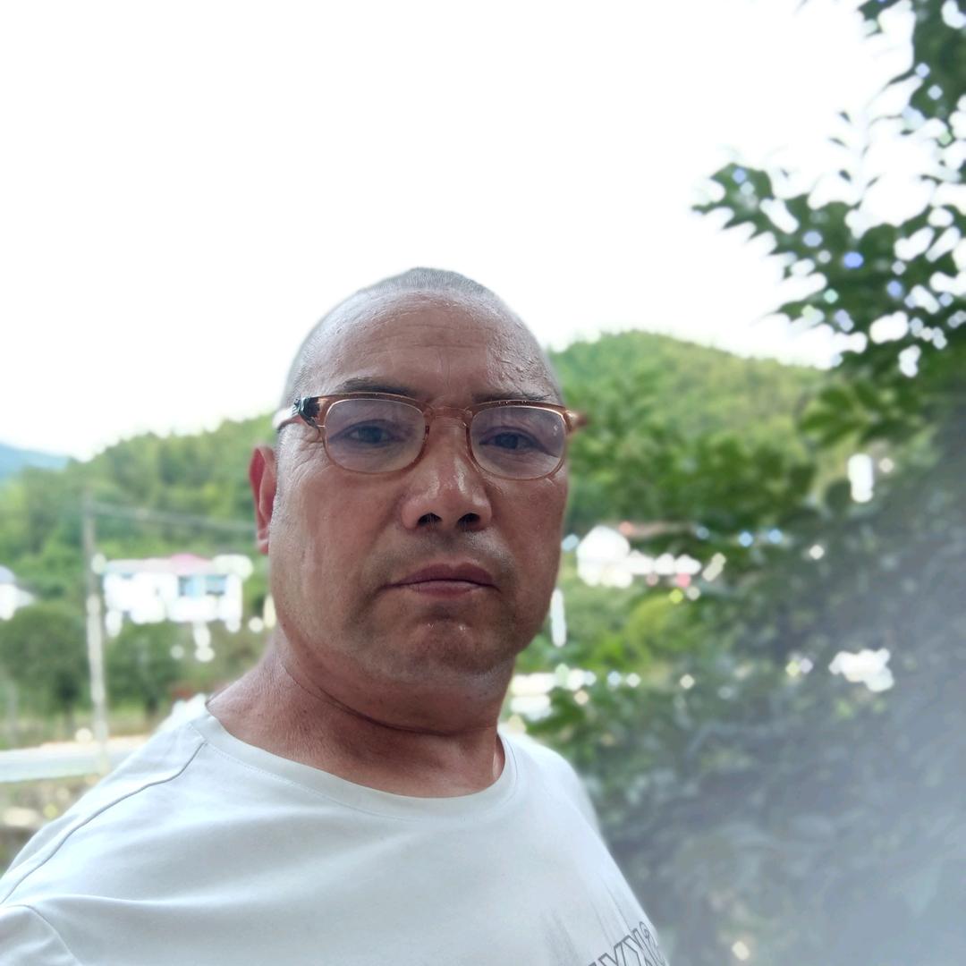 朝阳伤不起