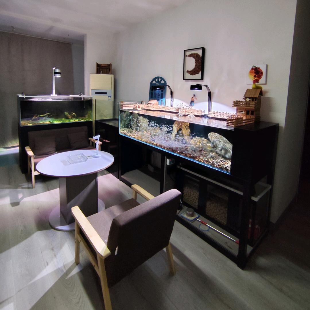 铜钱儿工作室·水族