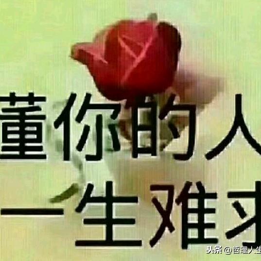 ✨珍惜眼前人✨