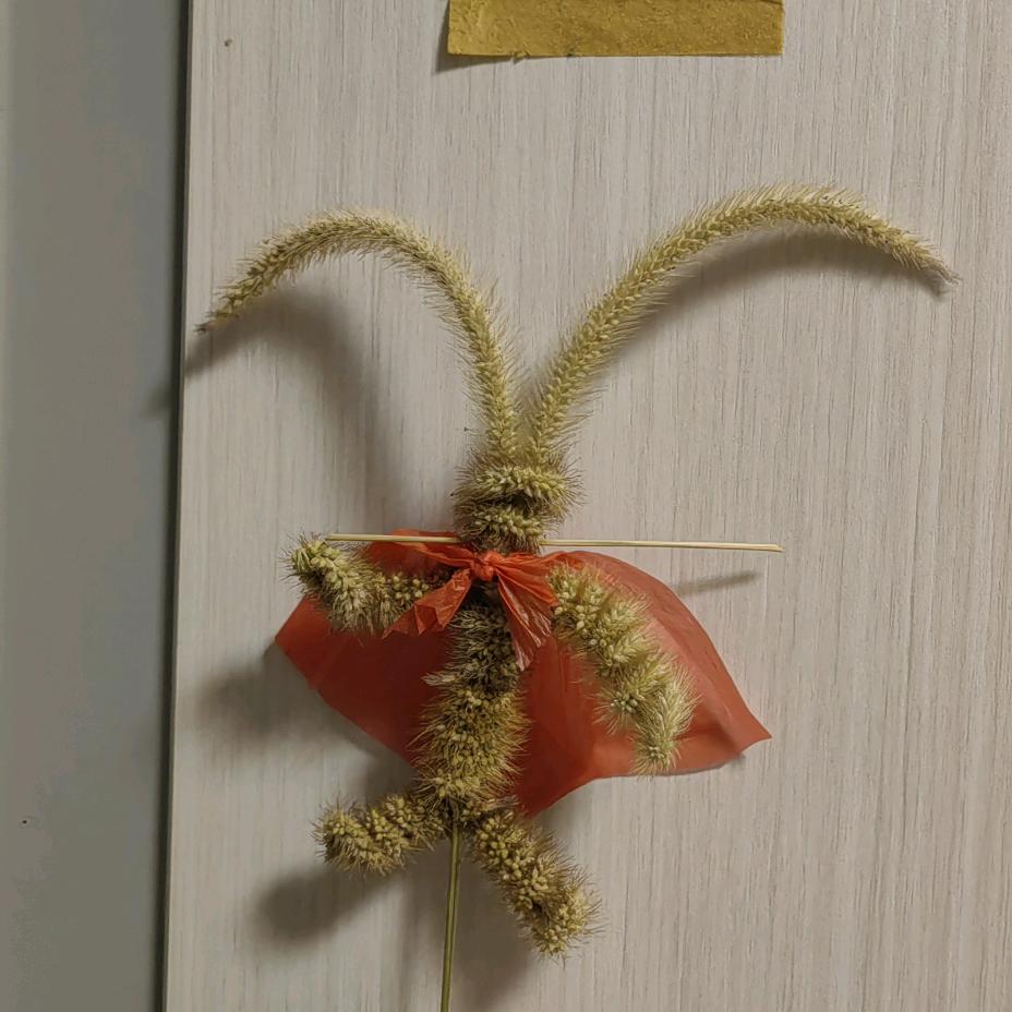 安安妈妈（已上限，明天回）