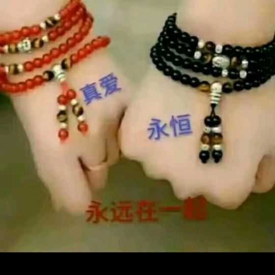 真爱随意