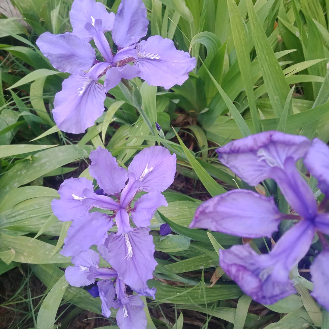 惟有时光忆年少《干就完了》(ฅ>ω<*ฅ