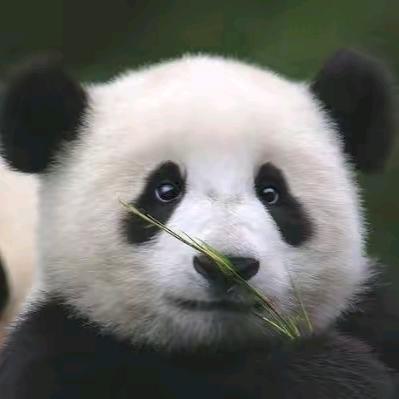 达ㅤ︎ ︎ ︎ㅤㅤ