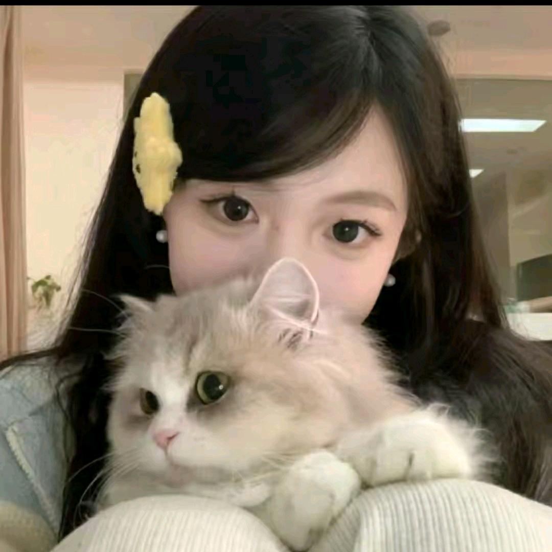 小猫碎碎念⌯'Ⱉ'⌯