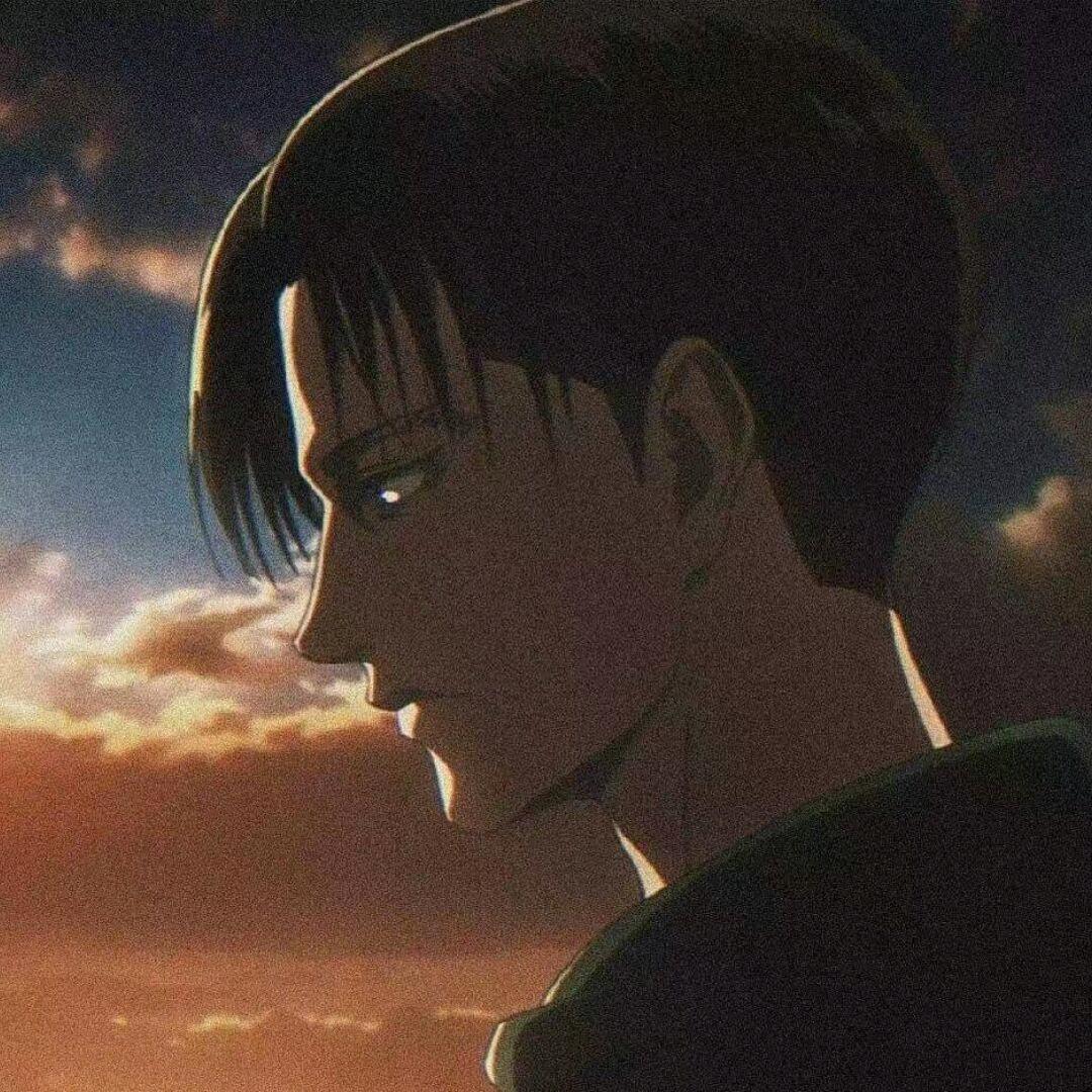 杨和苏