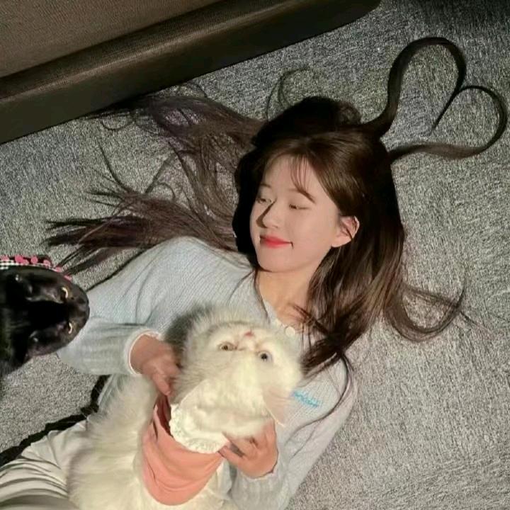 花果山在逃母猴。