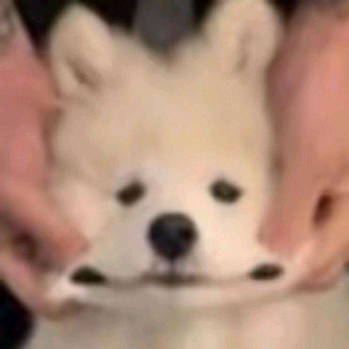 千葉