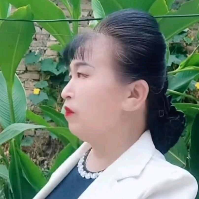 🌹🌲笑望红尘🌲🌹