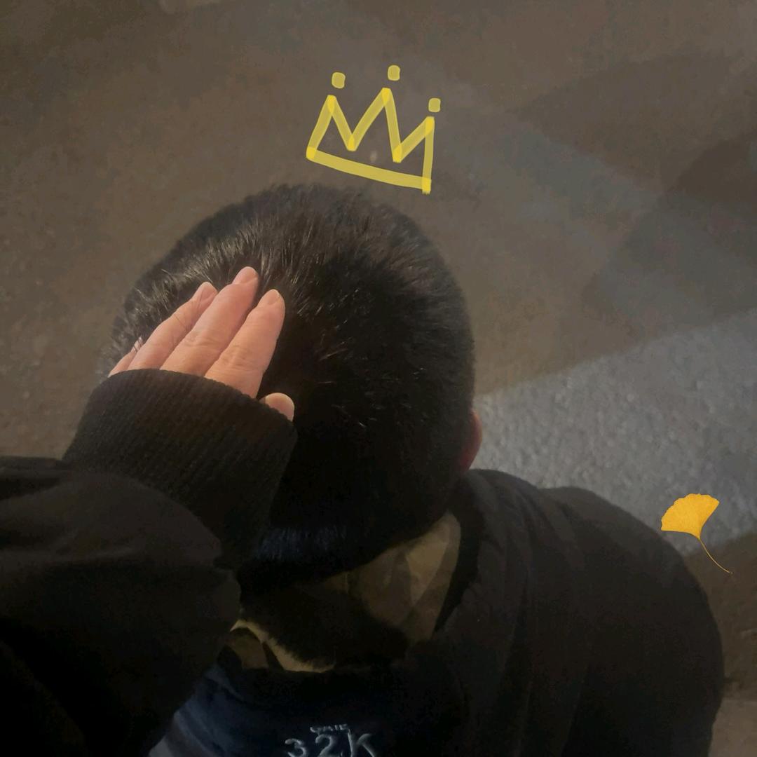 ZQ丶