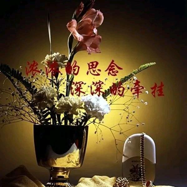 ℋღ᭄余生🍒有李💞࿐