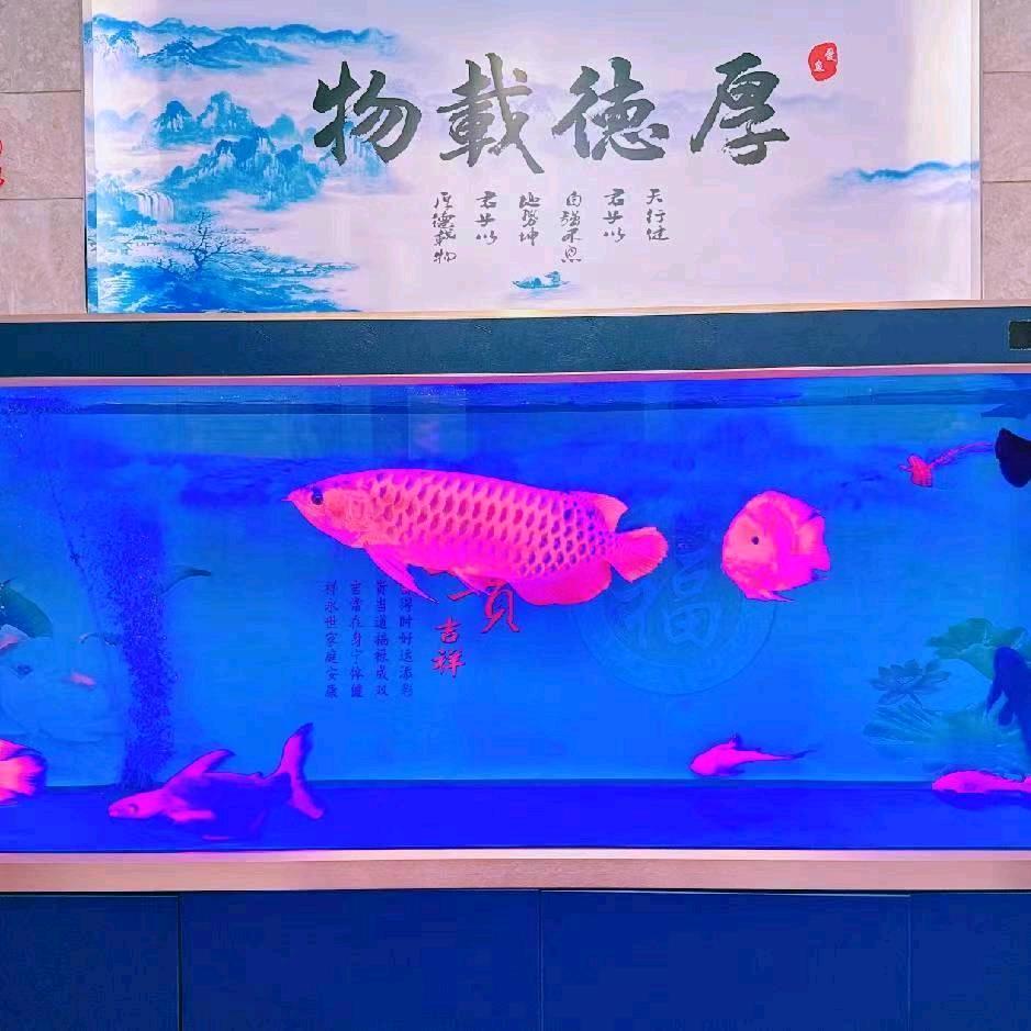 爱欠费，情已停机