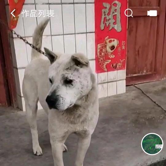 贵州乞丐🐍狗洞货繁殖资源部