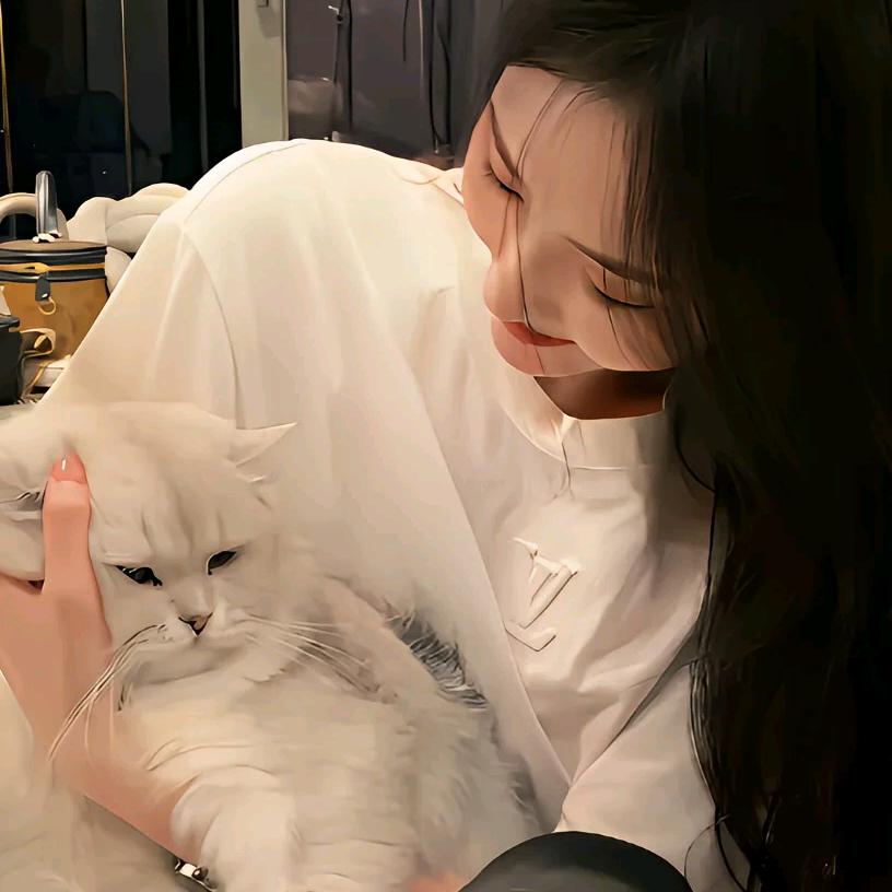 梁全其美