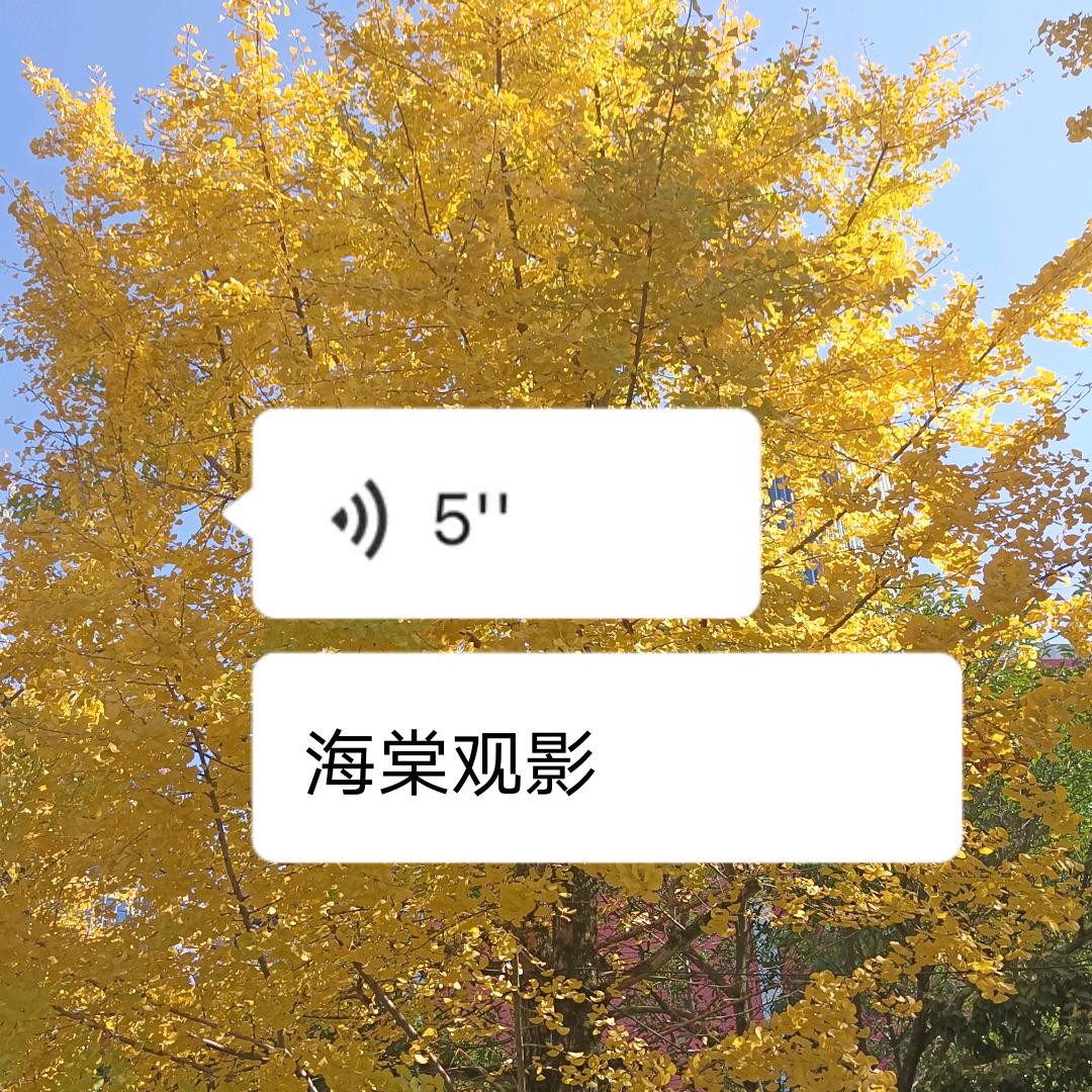 海棠观影