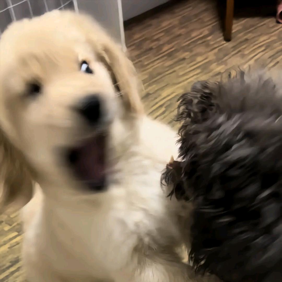 知还