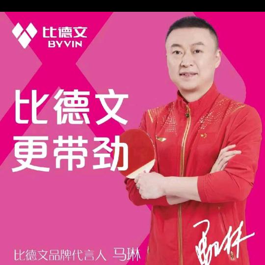 内黄比德文电动车