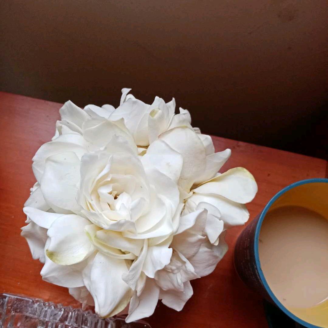 、bai,hua