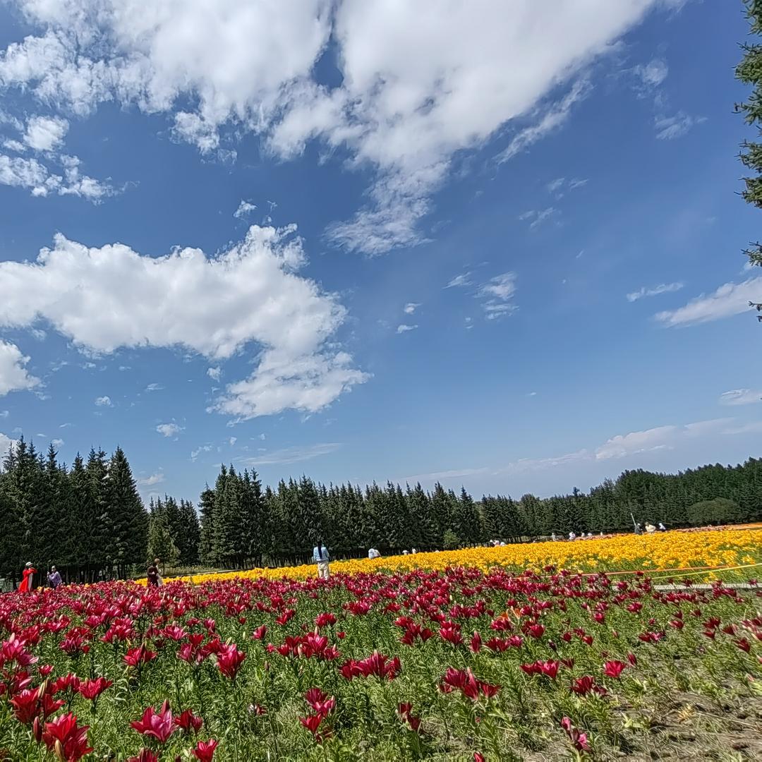 漂流瓶不是许愿瓶