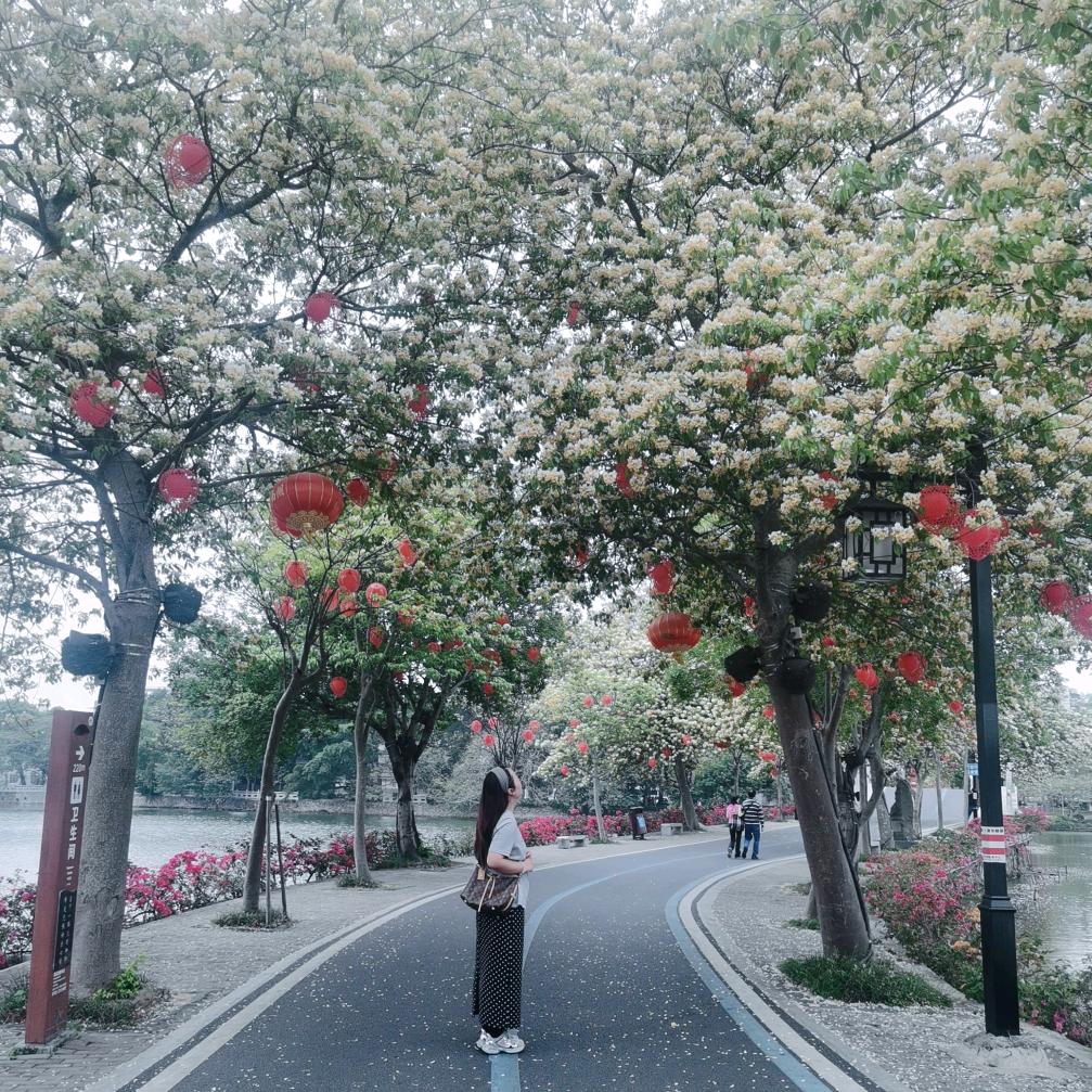 骑着蜗牛闯世界……