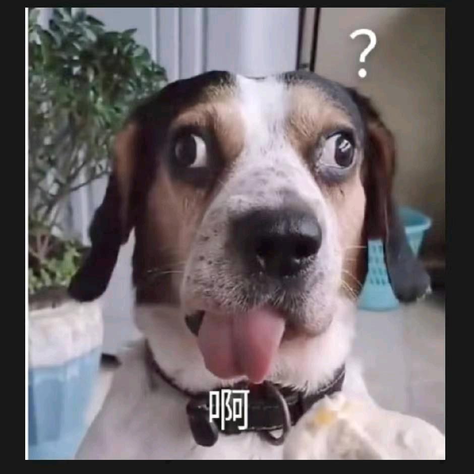 圄圄