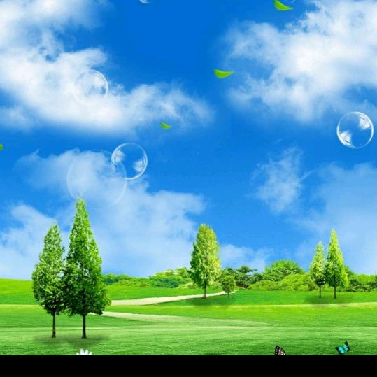 风过林梢🔥🔥🔥