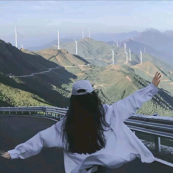 白色橄榄树
