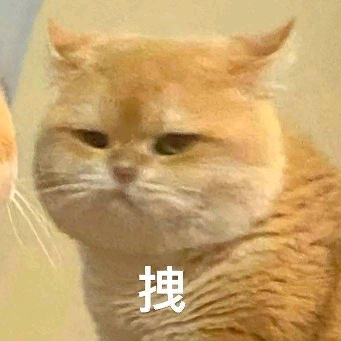 咪咪大王