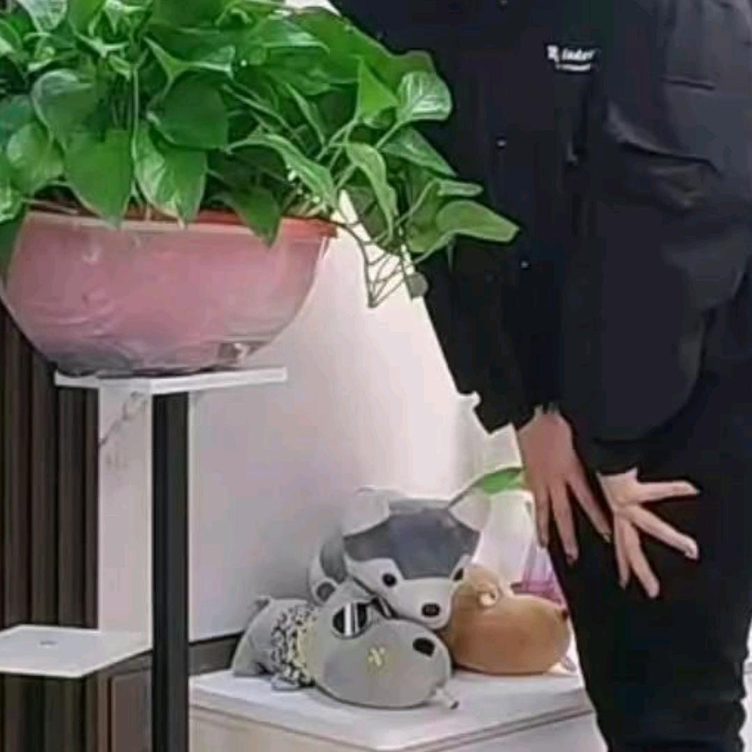 独宠一人❤️
