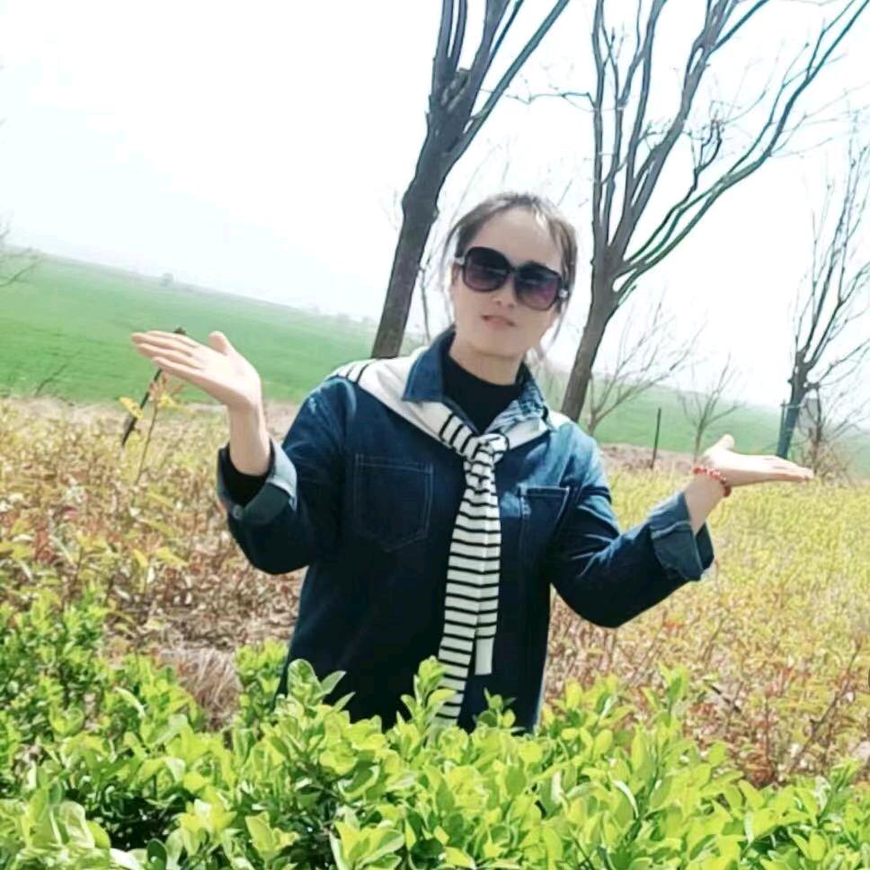 .风中的承诺.