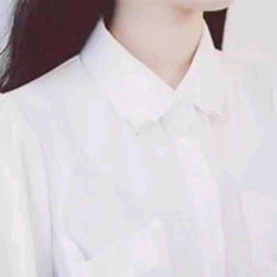 妮妮小姐