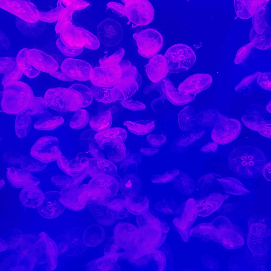 张熙熙🦋