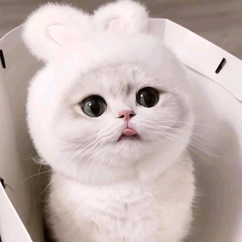 睡觉