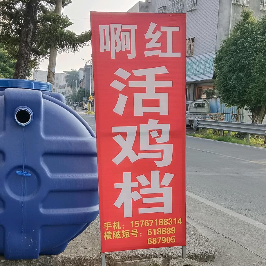 锡坑罗陂村啊红活鸡档