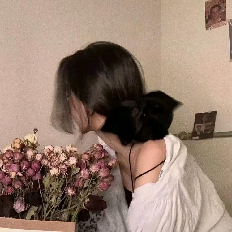 梅梅🌸