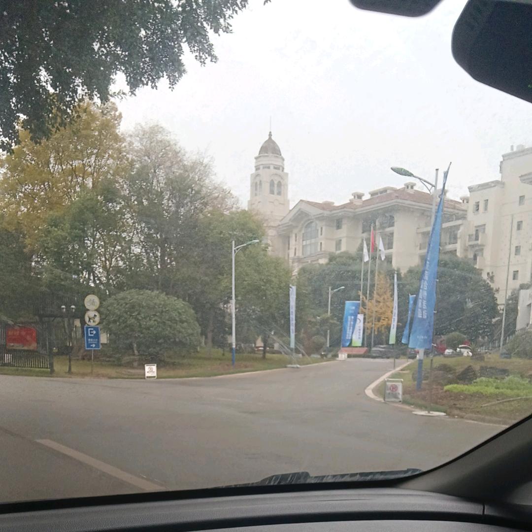 悠闲
