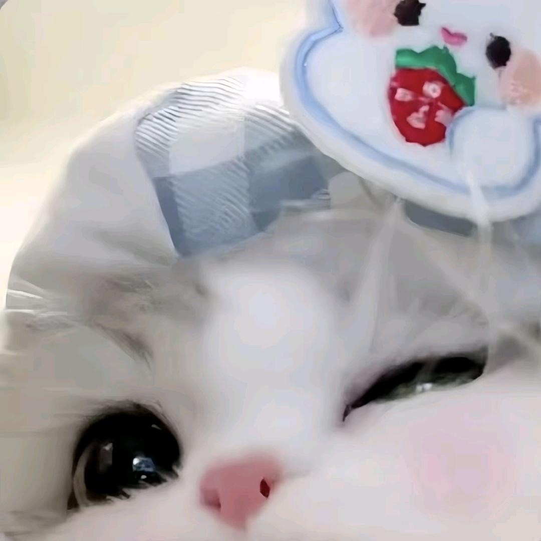呦呦