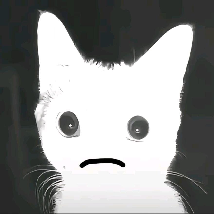 小多多