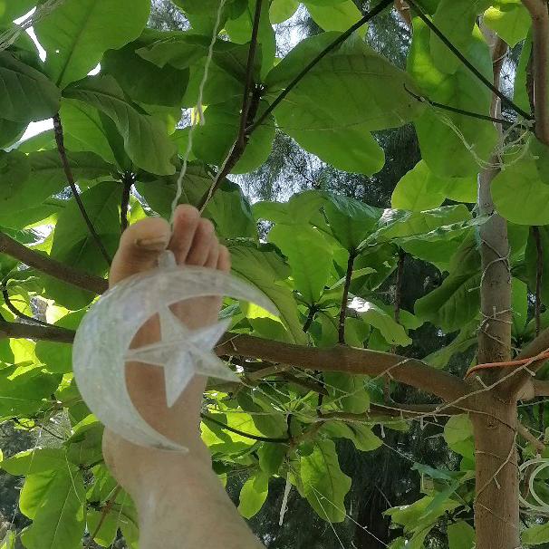 人走茶凉