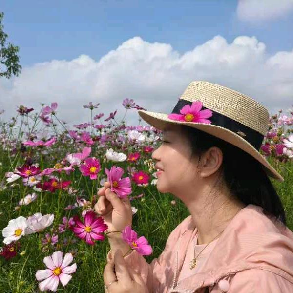 米苏