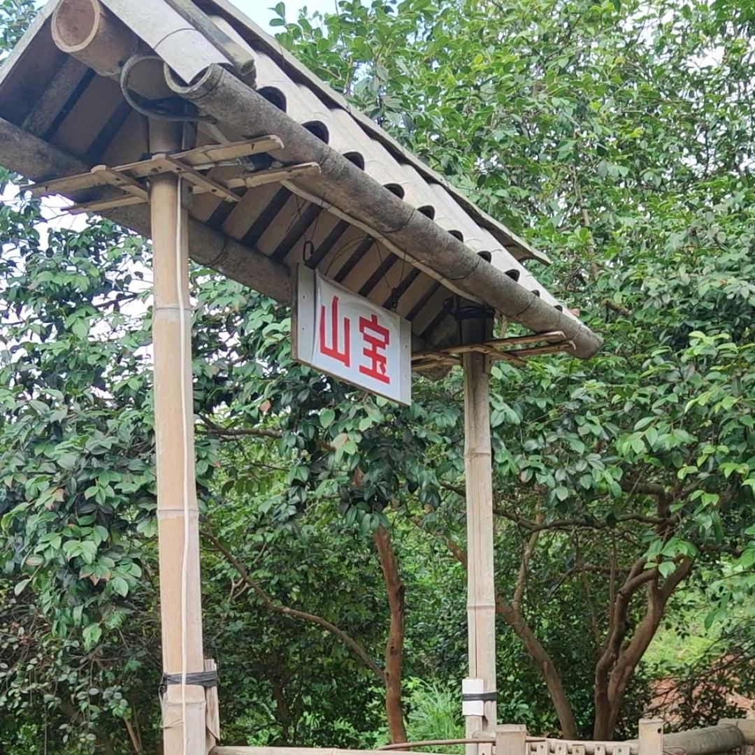 山宝