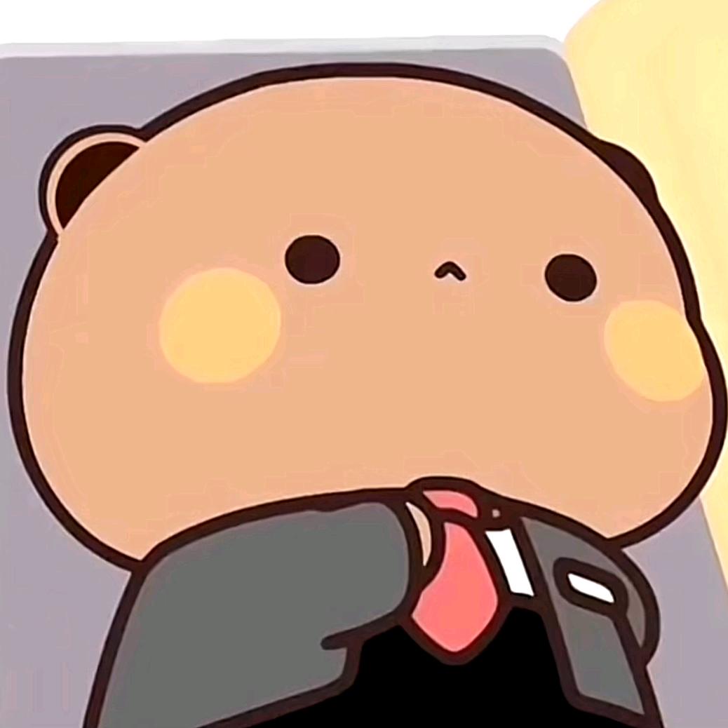 ZS集团公司