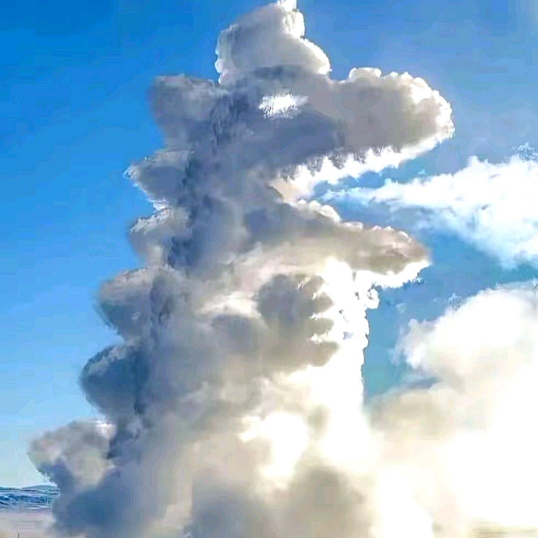 张大喜