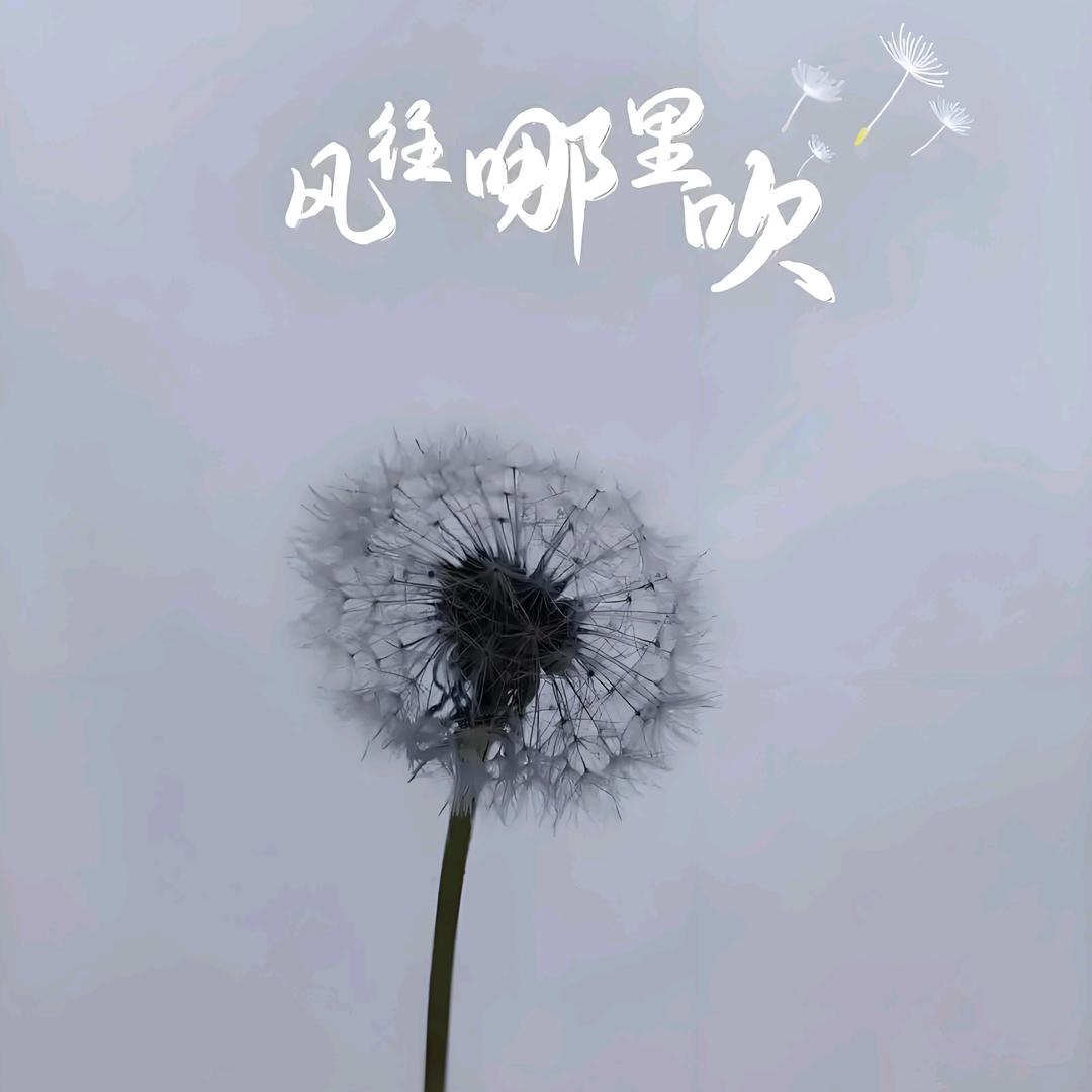 南城以南