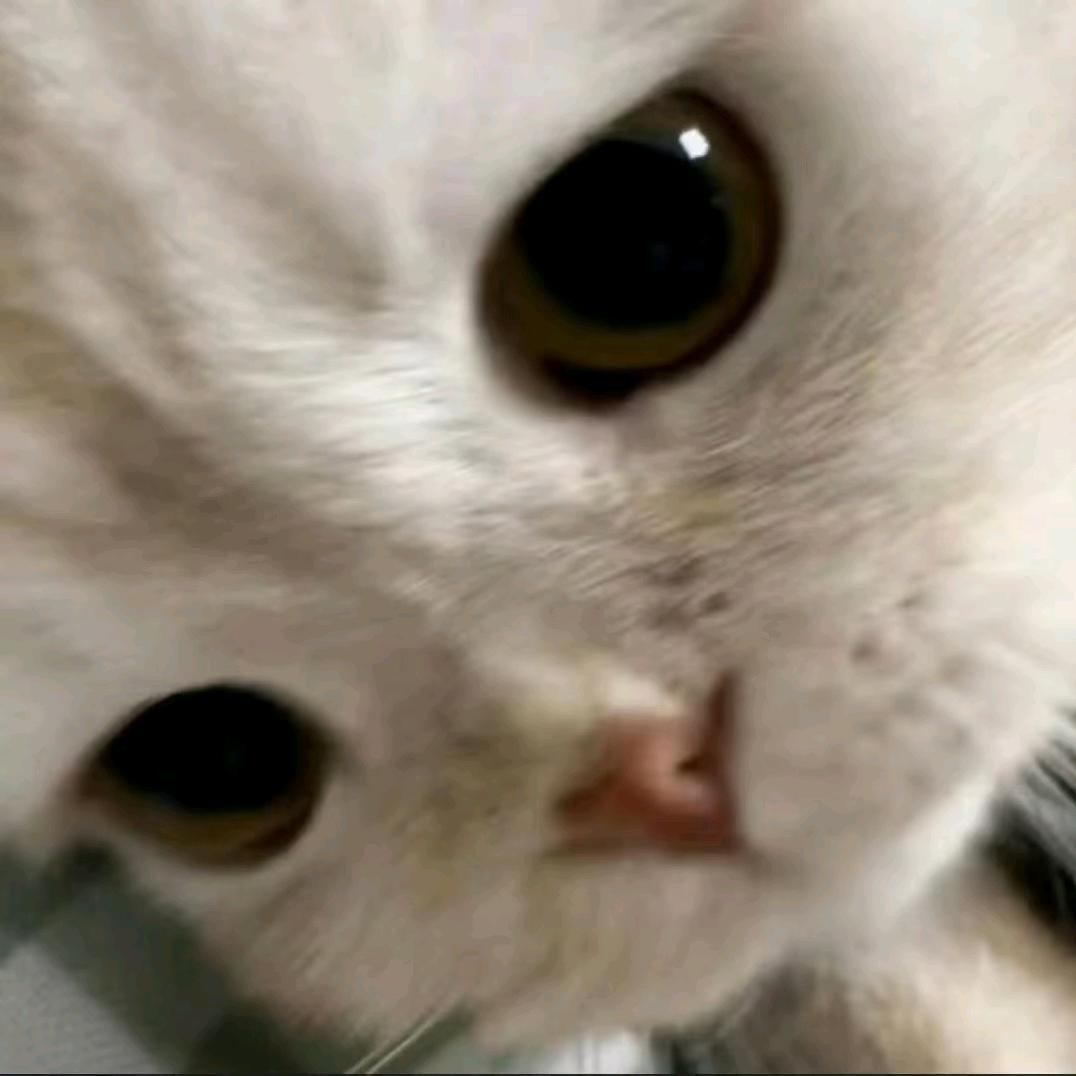 翠花花