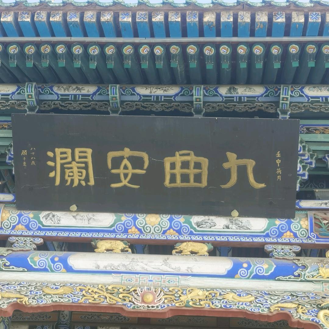 秋蝉不识冬